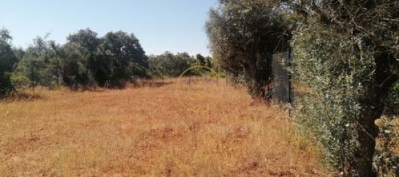  قطعة أرض في Loule, Portugal 1100متر مربع رقم 330604 9