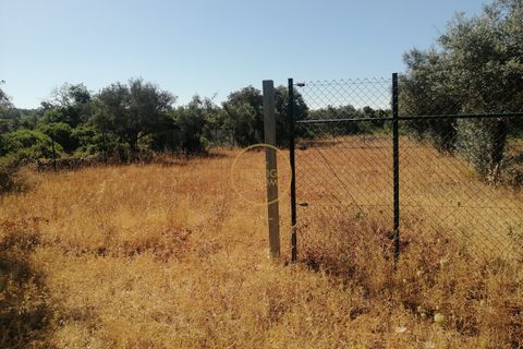 1100m² Land in Loule, Portugal No. 330604