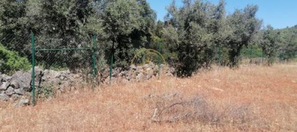  قطعة أرض في Loule, Portugal 1100متر مربع رقم 330604 2