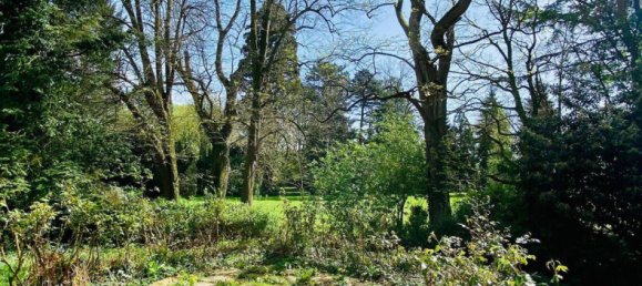 6 rooms Land in Bonn, Germany No. 124907 2