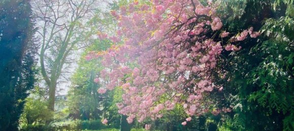 6 rooms Land in Bonn, Germany No. 124907 5