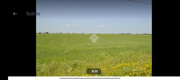 Grundstück in Foggia, Italy 46000m², Nr. 254918 3