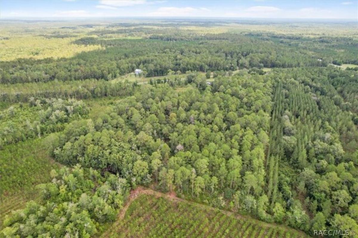  Land in Chiefland, USA No. 536285