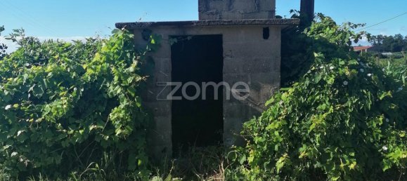 Grundstück in Vila Nova de Famalicao, Portugal, Nr. 34367 5