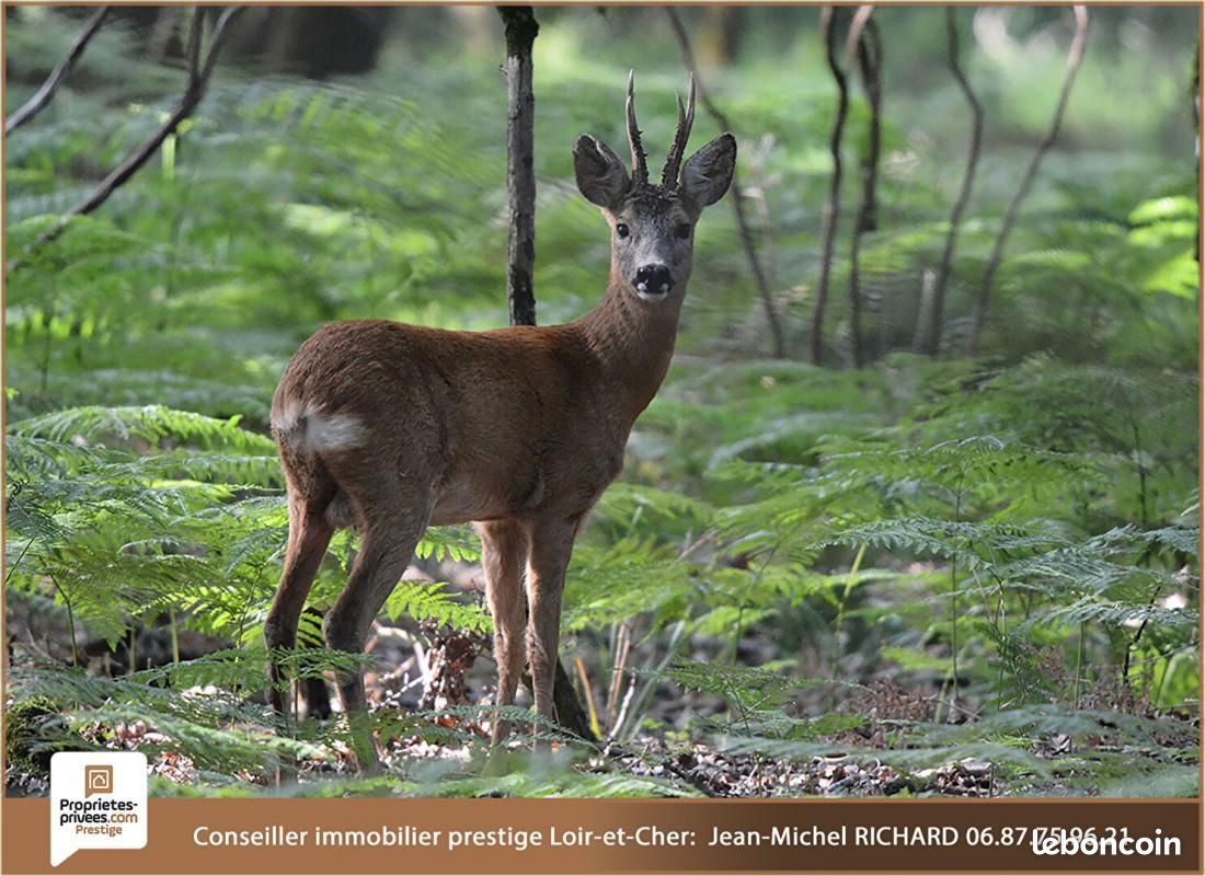 Casa de 3 dormitorios en Gievres, France No. 231172