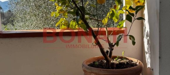 2 bedrooms Villa in La Spezia, Italy No. 177287 14