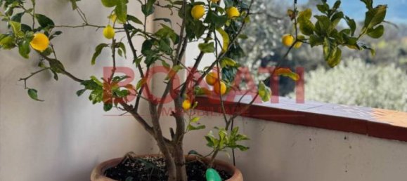 2 bedrooms Villa in La Spezia, Italy No. 177287 13