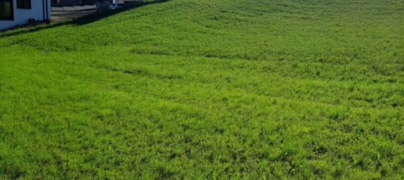  قطعة أرض في Hitzendorf, Austria رقم 132223 6