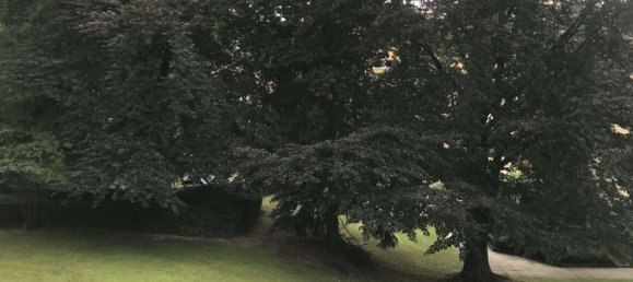 3 chambres Appartement à Bochum, Germany No. 257860 2