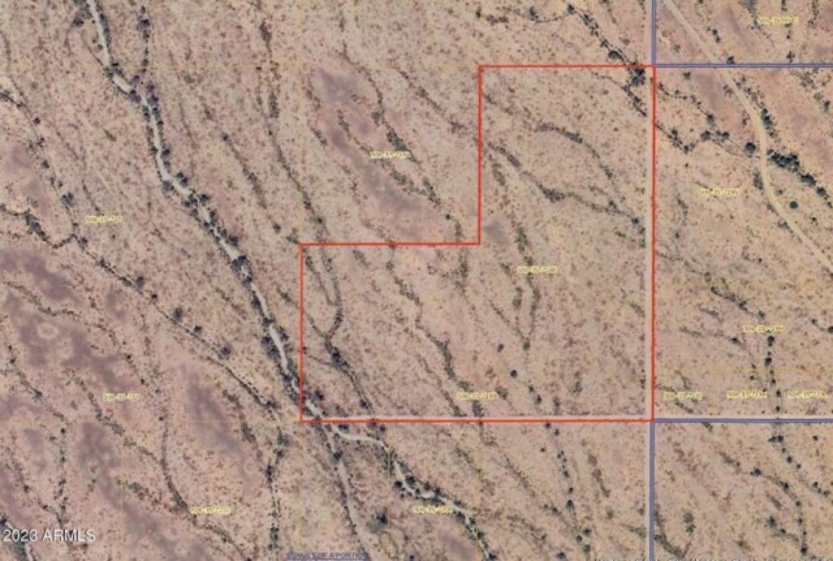  Land in Tonopah, USA No. 477916