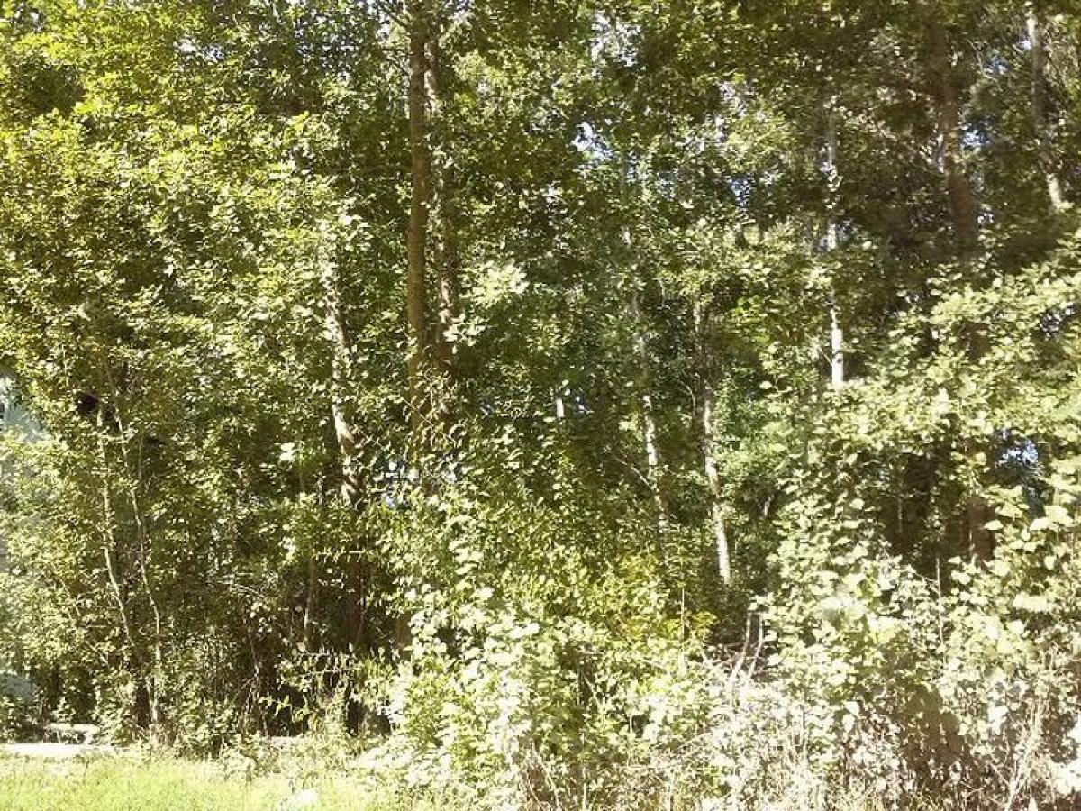 Terreno en Mar del Plata, Argentina No. 118538