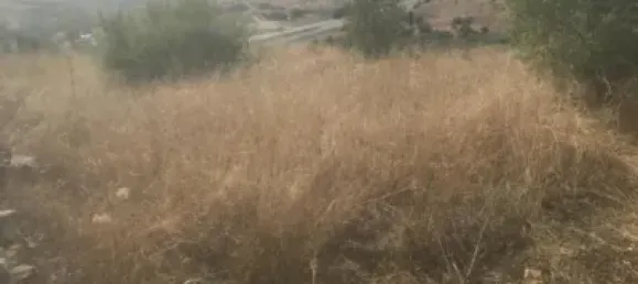 Terreno en El Molar, Spain No. 81892 8