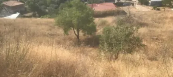 Terreno en El Molar, Spain No. 81892 3