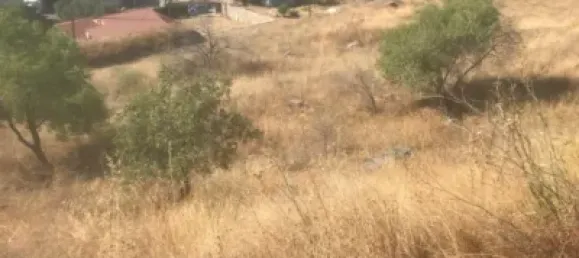 Terreno en El Molar, Spain No. 81892 4