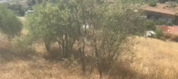 Terreno en El Molar, Spain No. 81892 5