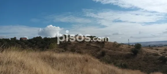 Terreno en El Molar, Spain No. 81892 11