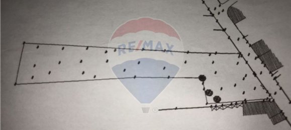 Земельный участок 3109м² в Оливейра ди Аземейш, Португалия № 69557 5