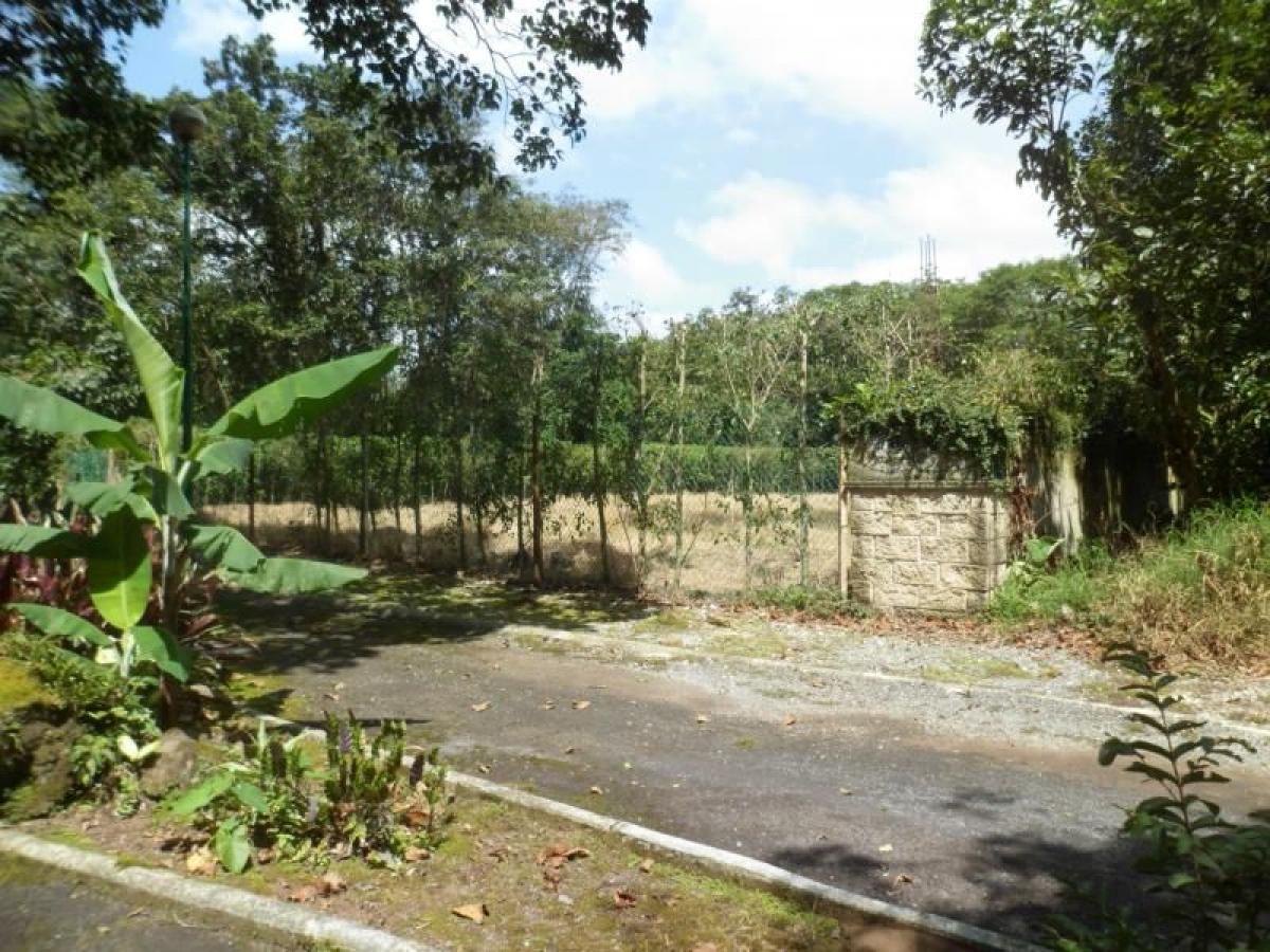  Land in Veracruz, Mexico No. 205898