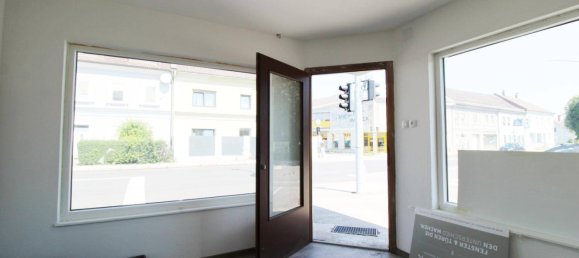 Коммерческая недвижимость 124м² в Вельс, Австрия № 226780 6