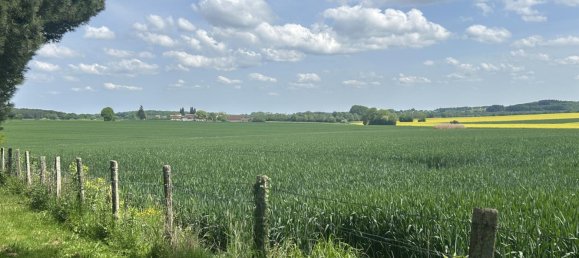 3 Schlafzimmer Haus in Argenvilliers, France, Nr. 301494 12