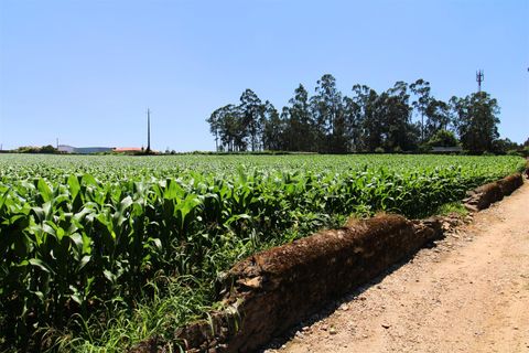 Terreno en Barcelos, Portugal No. 202230