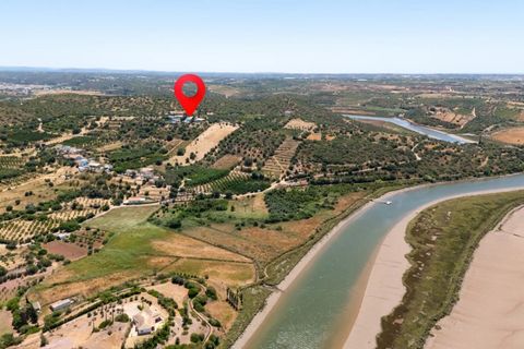 4 bedrooms House in Silves, Portugal No. 242956