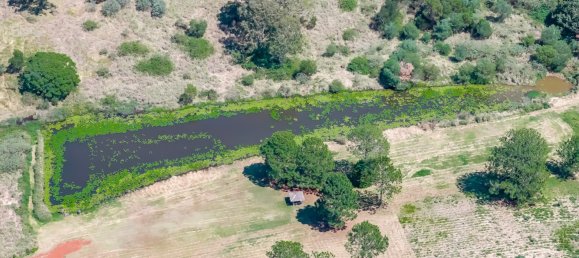 Ферма с 3 спальнями в North Isis, Австралия № 23 6