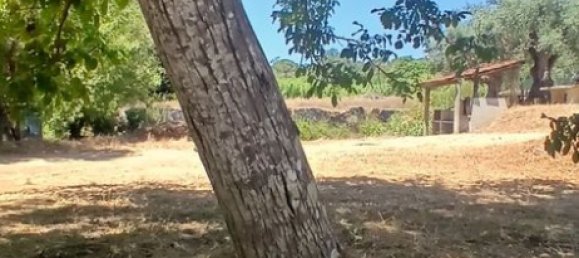 9720m² Land in Torres Novas, Portugal No. 250652 7