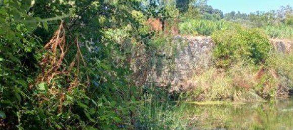 9720m² Land in Torres Novas, Portugal No. 250652 2