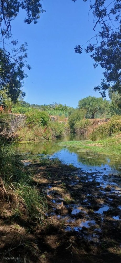 9720m² Land in Torres Novas, Portugal No. 250652