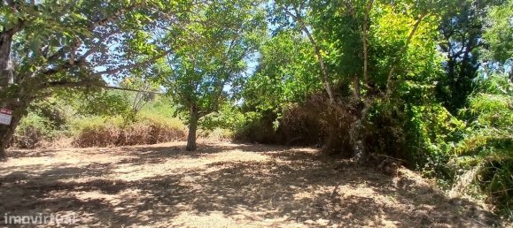 9720m² Land in Torres Novas, Portugal No. 250652 4