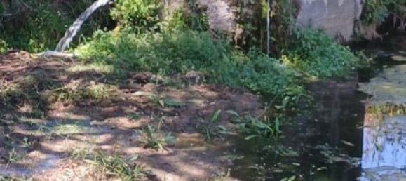 9720m² Land in Torres Novas, Portugal No. 250652 9