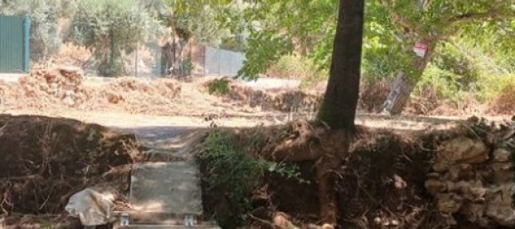 9720m² Land in Torres Novas, Portugal No. 250652 3