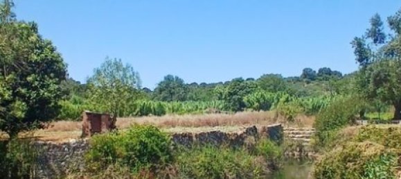 9720m² Land in Torres Novas, Portugal No. 250652 8