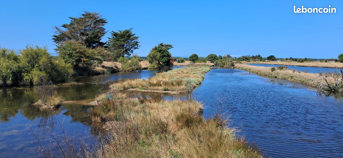  Land in L'Ile-d'Olonne, France No. 336857