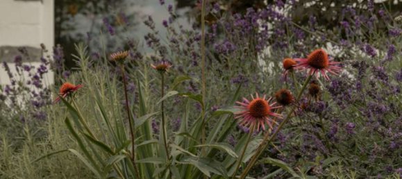 Casa T3 em Rhein-Neckar-Kreis, Germany N.º 109392 36