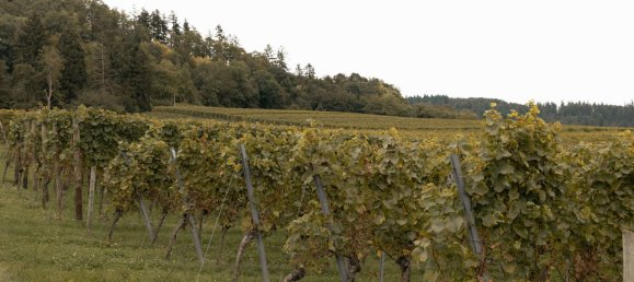 Casa T3 em Rhein-Neckar-Kreis, Germany N.º 109392 40