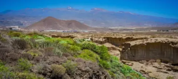  Land in San Miguel de Abona, Spain No. 154070 7