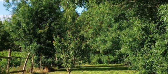 Casa T3 em Charente-Maritime, France N.º 325081 19