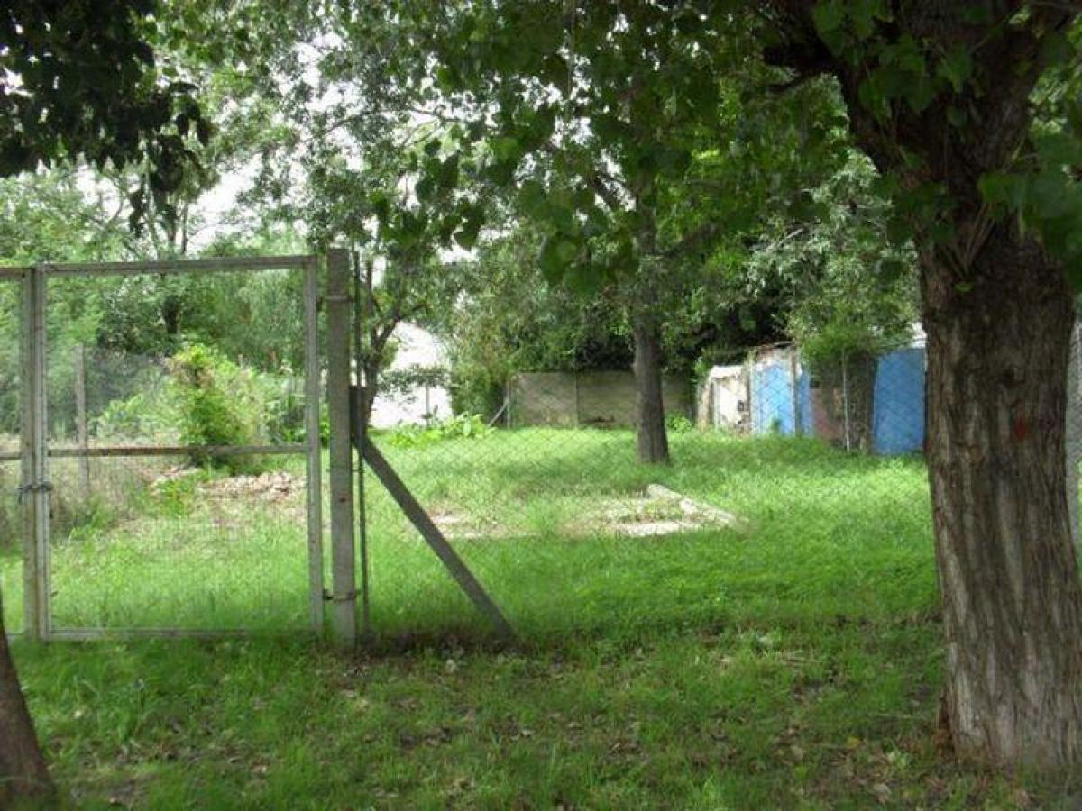  Land in Campo Creado, Argentina No. 34595