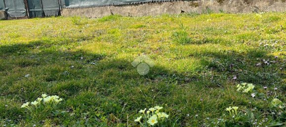 5-Zimmer Haus in Barbania, Italy, Nr. 117876 42