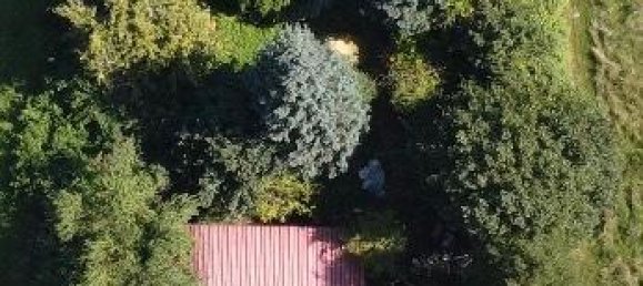 Земельный участок в Герцогство Лауэнбург, Германия № 271451 6