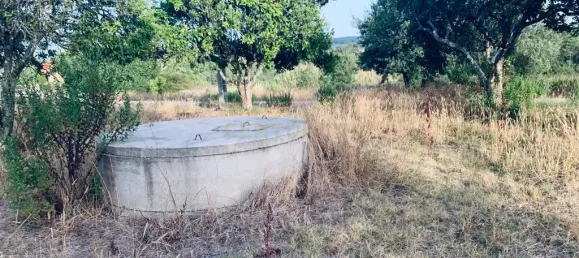  قطعة أرض في Pombal, Portugal 1800متر مربع رقم 14128 4