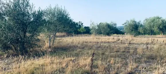  قطعة أرض في Pombal, Portugal 1800متر مربع رقم 14128 12