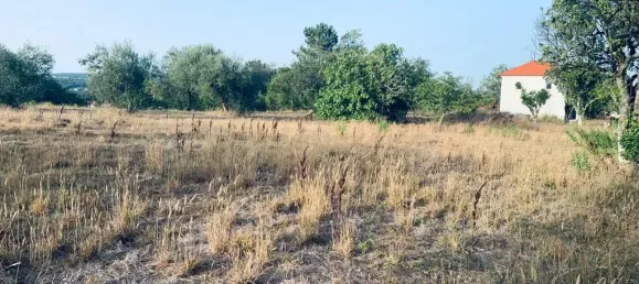  قطعة أرض في Pombal, Portugal 1800متر مربع رقم 14128 13