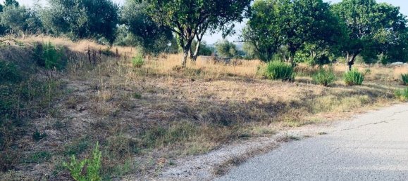  قطعة أرض في Pombal, Portugal 1800متر مربع رقم 14128 8