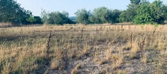  قطعة أرض في Pombal, Portugal 1800متر مربع رقم 14128 9