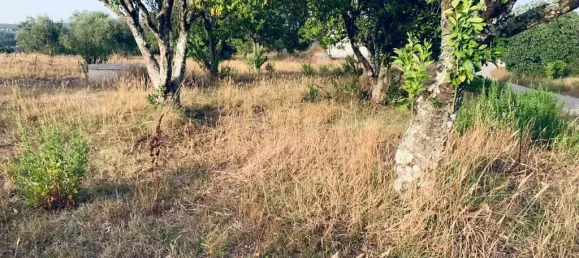  قطعة أرض في Pombal, Portugal 1800متر مربع رقم 14128 11