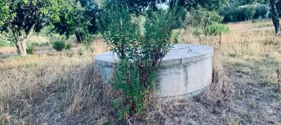  قطعة أرض في Pombal, Portugal 1800متر مربع رقم 14128 3