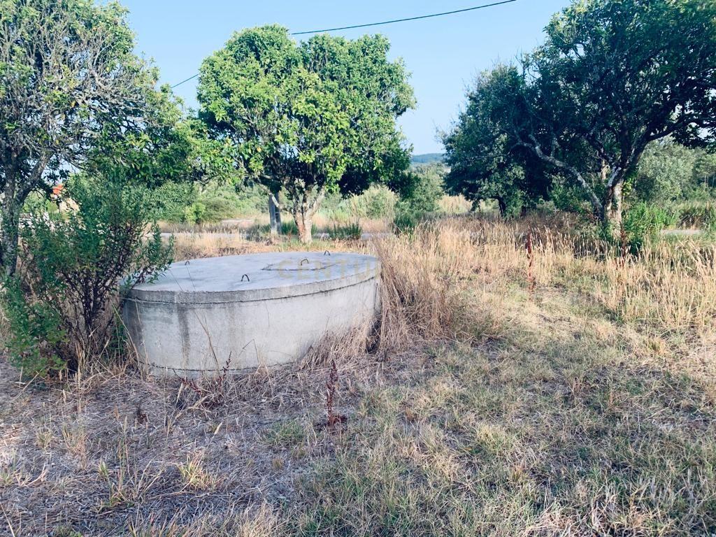  قطعة أرض في Pombal, Portugal 1800متر مربع رقم 14128